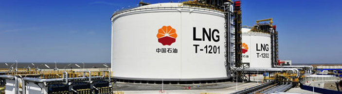 LNG專用軟管，LNG軟管，輸送LNG,LNG復合軟管
